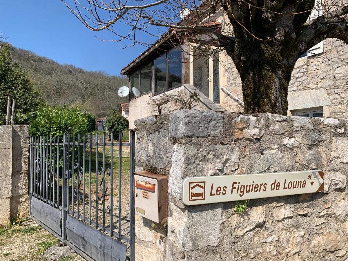 Les Figuiers De Louna - Pierre Ensoleillee - 110 M2 Et Une Veranda Saint-Gery  ภายนอก รูปภาพ
